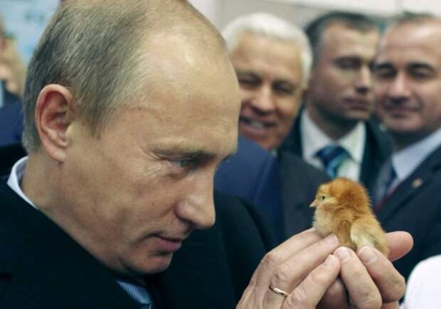 Запад прозевал новый шаг Владимира Путина Запад прозевал новый шаг Владимира Путина