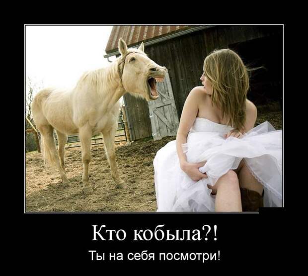 Демотиваторы (30 фото) Демотиваторы (30 фото)