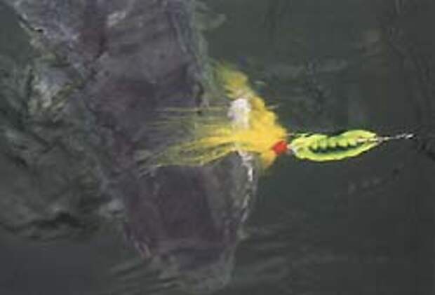 Любимый бактэйл-спиннер