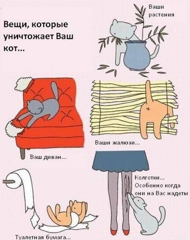 Прикольные картинки (73)