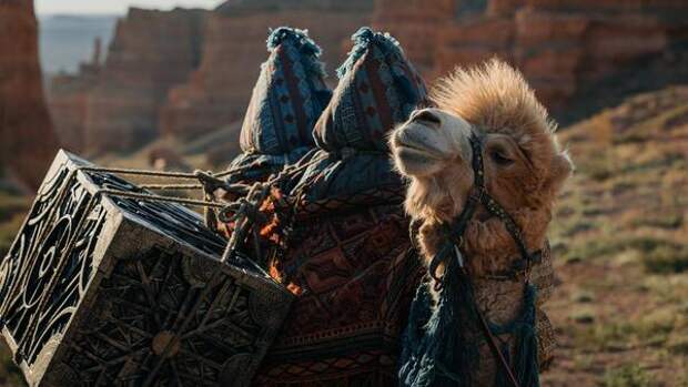 Заморское чудище и говорящий верблюд в новом трейлере сказки «Финист. Первый Богатырь»