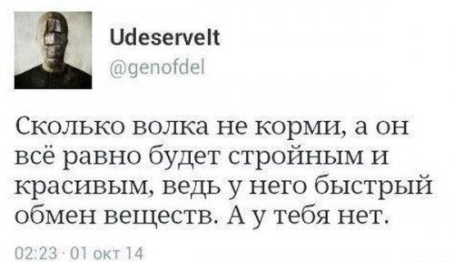 Весёлые картинки с юмором