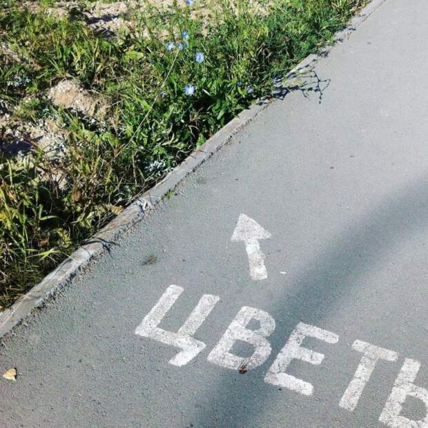 Настолько очевидный пост, что даже Капитан Очевидность этого не отрицает Настолько очевидный пост, что даже Капитан Очевидность этого не отрицает