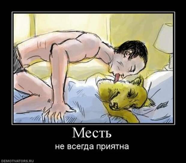 Демотиваторы смешарики и приколы в черных рамках.