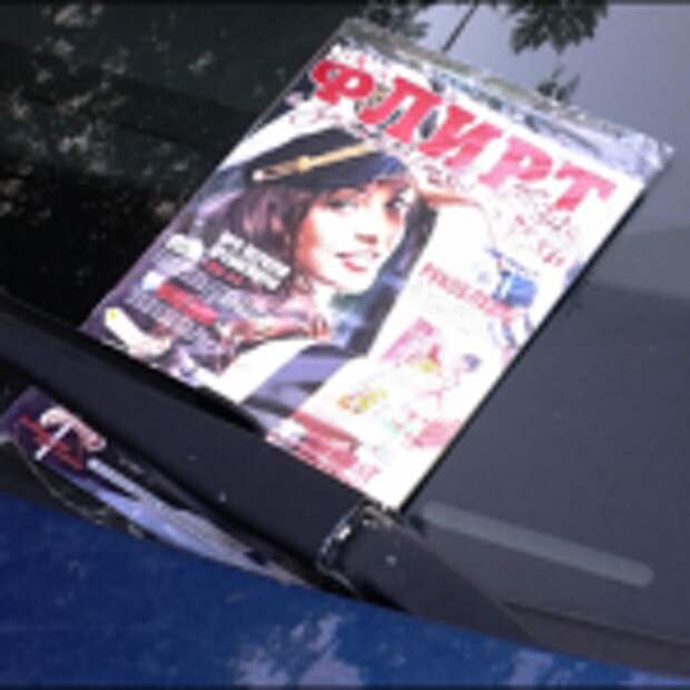 MVD-proverit-zhurnaly-Flirt-
