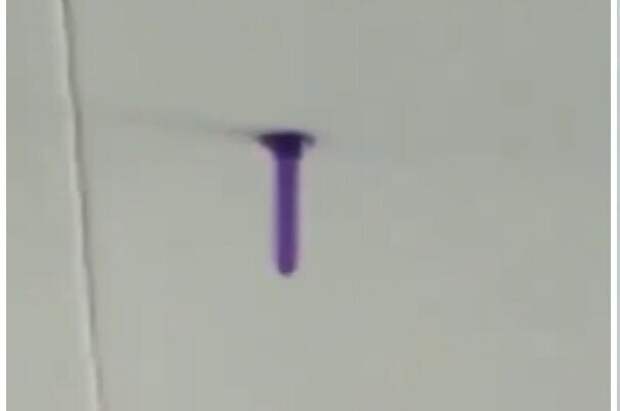 "Я даже не поняла, что это такое!": директор школы, где на потолке болтался лиловый фаллоимитатор, встала на сторону учеников