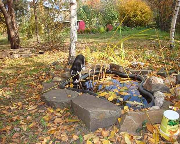 Водоем в саду.