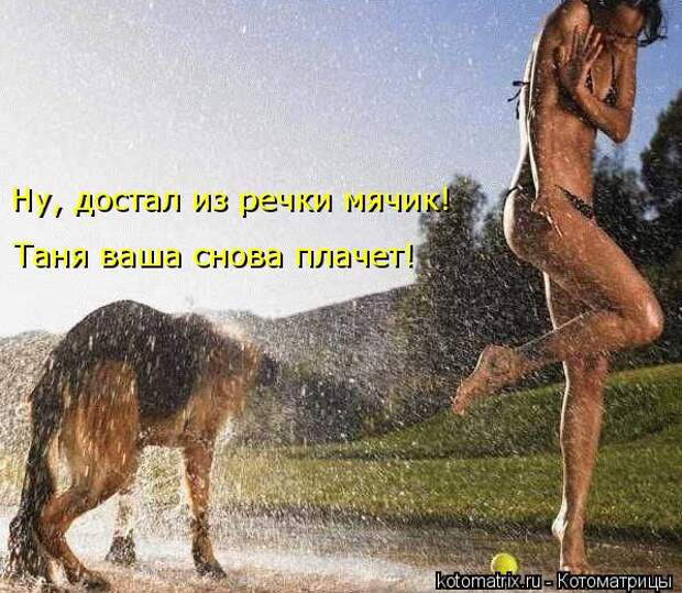 Клёвые отрывные котоматрицы (30 фото)