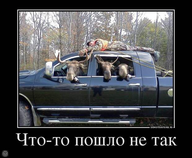 А ты знаешь, что делать со своей жизнью? 32