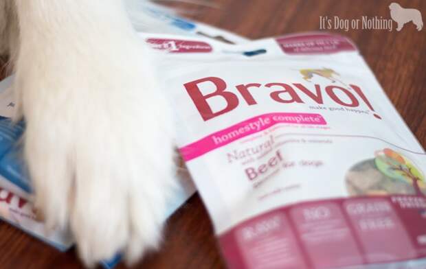 Pet Paw-Looza | Bravo Pet Food with Great Pyrenees