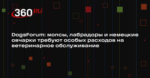 DogsForum: мопсы, лабрадоры и немецкие овчарки требуют особых расходов на ветеринарное обслуживание