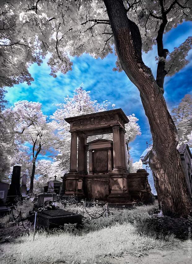 infrared15 infrared15 Инфракрасная фотография от Олега Григорьева