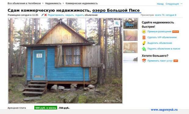 Самые прикольные объявления на Avito Самые прикольные объявления на Avito