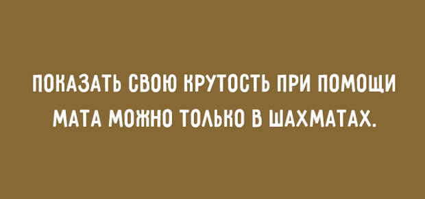 Душевные мысли и фразы для хорошего настроения 