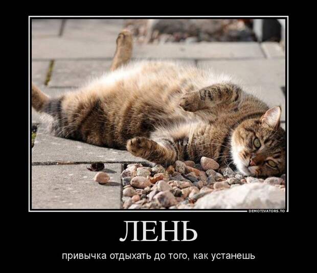 Демотиваторы  демотиваторы, прикол, смех, юмор
