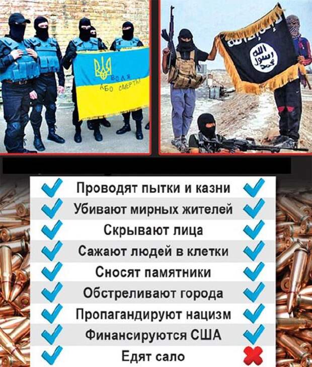 Украина поддерживает международный терроризм