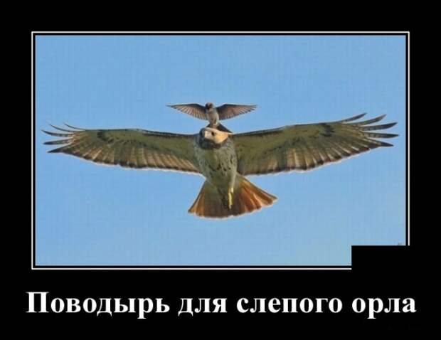 Демотиваторы (30 фото)