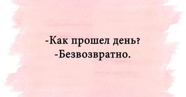 Яркий юмор для души
