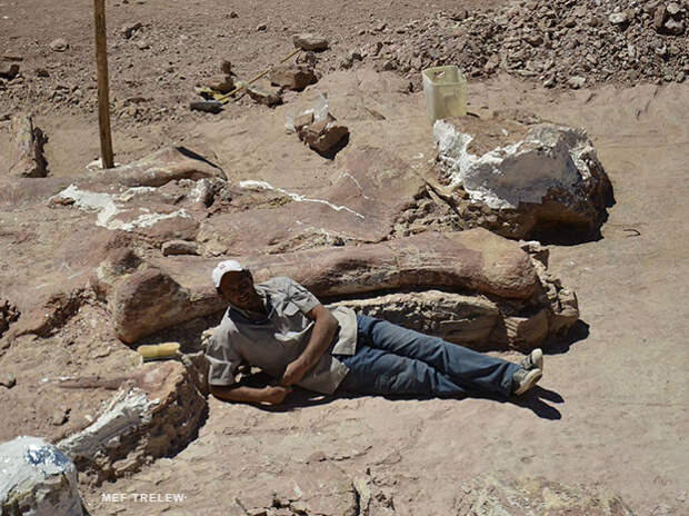 Biggest Dinosaur 