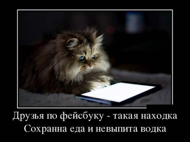 Прикольные демотиваторы