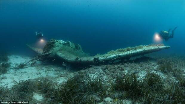 Затопленный самолет у берегов Хорватии, Пекка Туури конкурс, красиво, лучшее, подборка, подводные снимки, подводные фото, фото, фотографы
