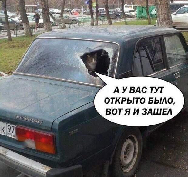 Веселые картинки с надписями для позитива (11 фото)