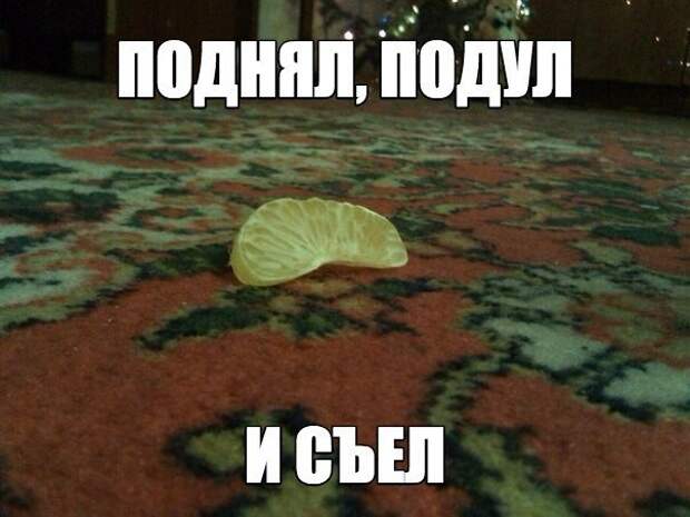 Смешные картинки с надписями прикол, юмор