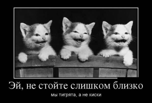 Демотиваторы (30 фото)