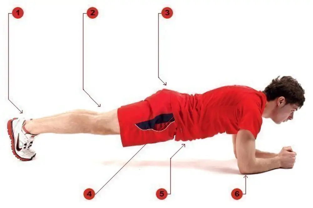Мышцы работающие при ударе. Планка упражнение. Статические упражнения. Планка упражнение мышцы. Статические упражнения мышцы.
