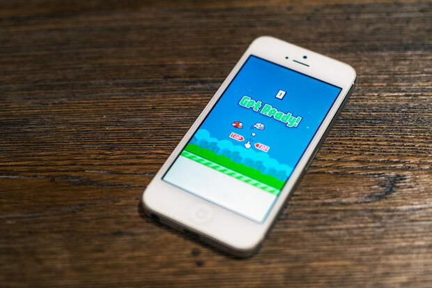 8. iPhone с установленной Flappy Bird. 