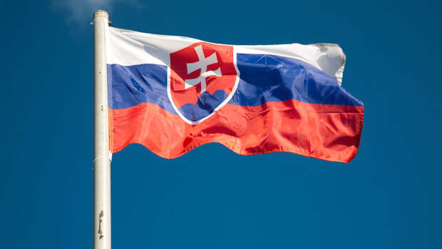 На экс-министра обороны Словакии Надя подадут иск из-за передачи МиГ-29 Украине