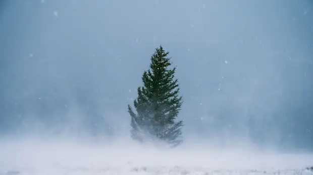 В ЯНАО ожидается усиление ветра до 16 м/с