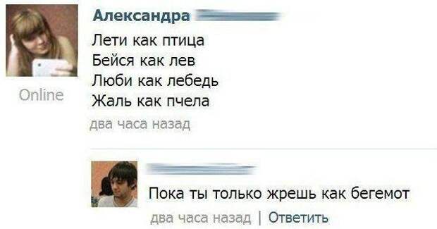 Улётные комментарии из соц.сетей Улётные комментарии из соц.сетей