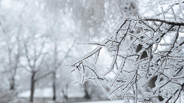 Синоптик Ильин: в понедельник в столичном регионе снова похолодает до -20 °С