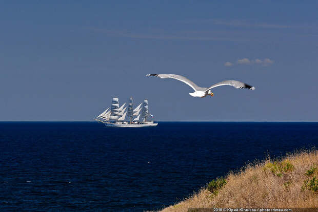 DSC_5540