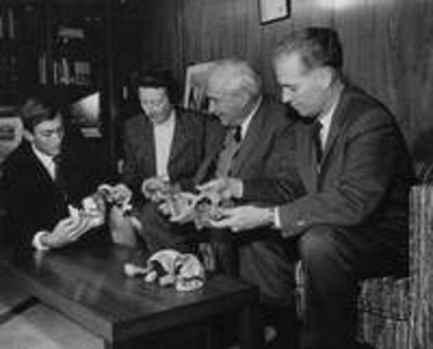 Слева направо: Ричард Лики, Мэри Лики, Луис Лики, Мелвин Пэйн. 1964 г.