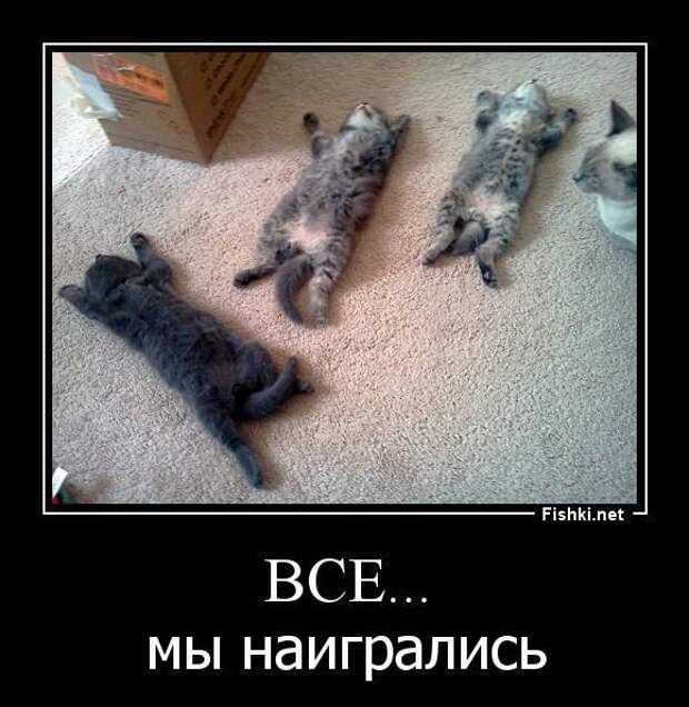 Прикольные демотиваторы