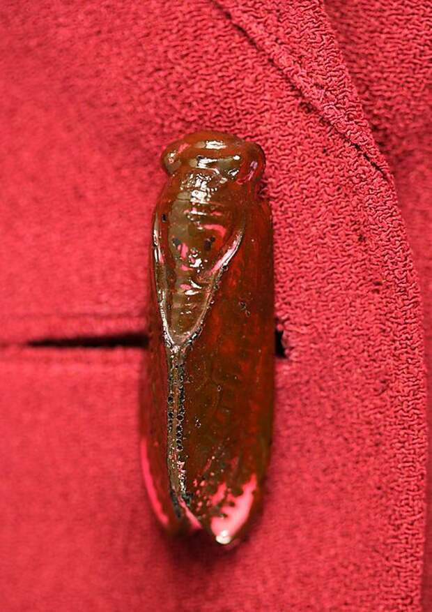 Elsa Schiaparelli couture evening jacket fall 1938 House of Schiaparelli.
