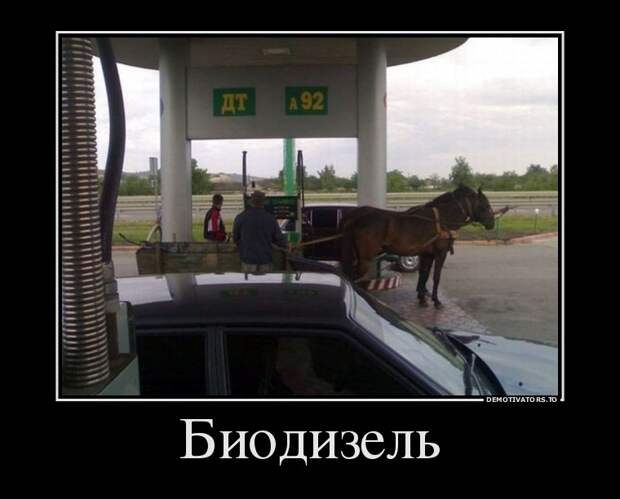 Демотиваторы демотиваторы, прикол, смех, юмор