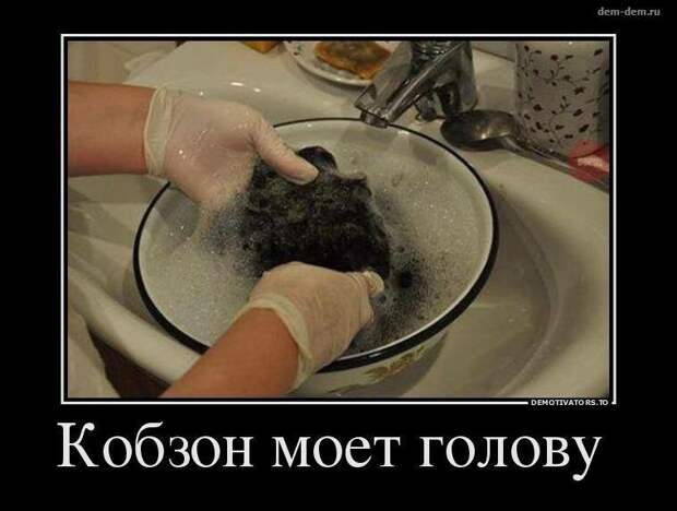 Пост юмора без политики прикол, юмор