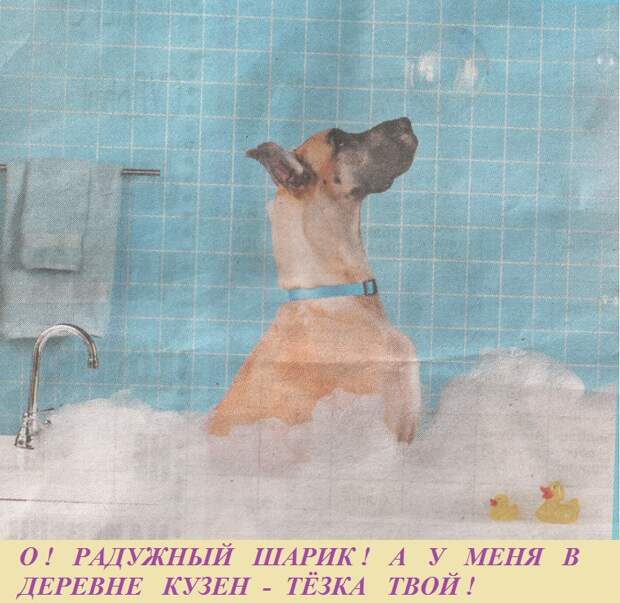 ВИннЕГРЕТ 54 ВИннЕГРЕТ 54