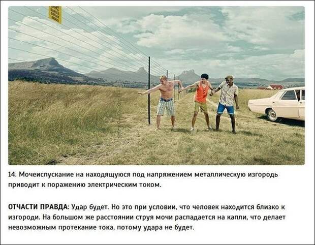 Правда или миф? Правда или миф?