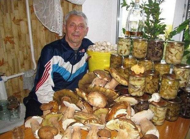 Грибник 80 уровня  максимализм, прикол, юмор