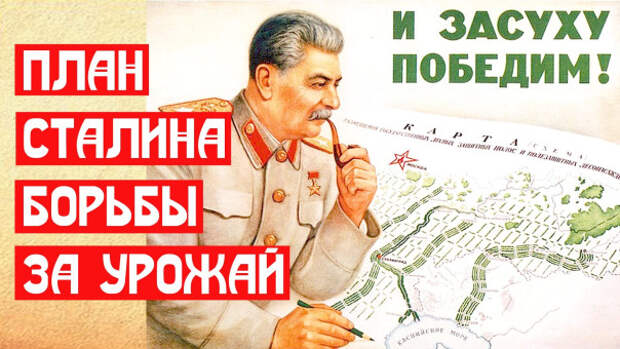 Грандиозный план Сталина о лесах