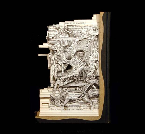 книжная хирургия брайян деттмер скульптуры из старых книг (15)
