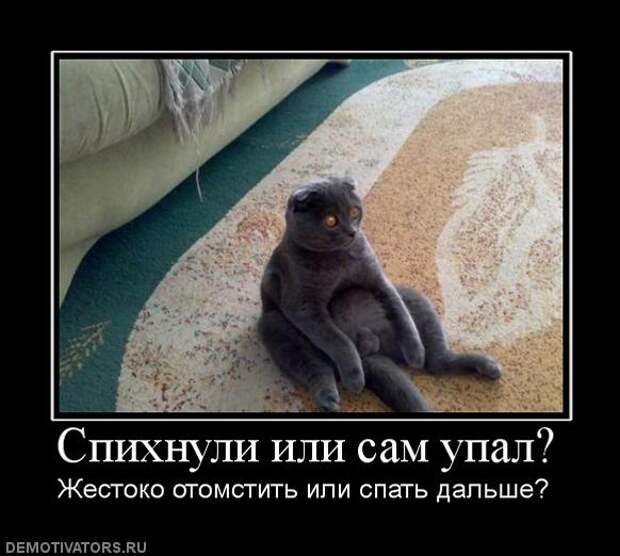 Сборник моих демотиваторов демотиватор, сборник