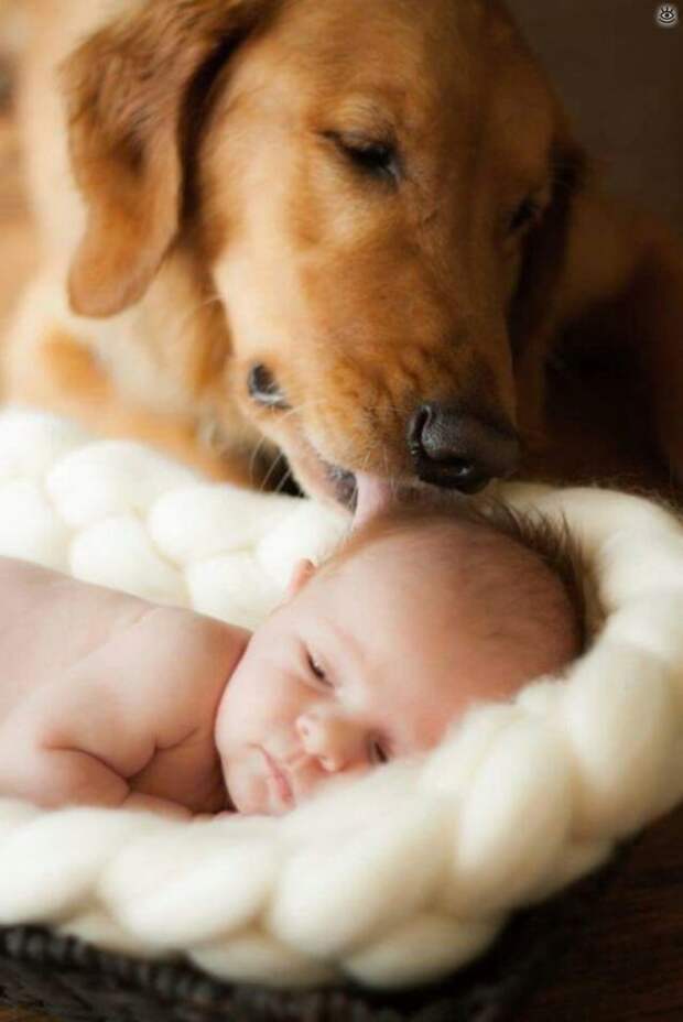 Зверушки и ребятишки 8