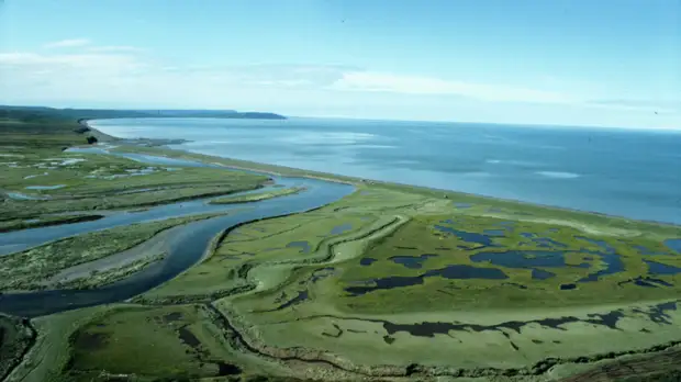 Египет выразил соболезнования в связи с авиакатастрофой на Камчатке