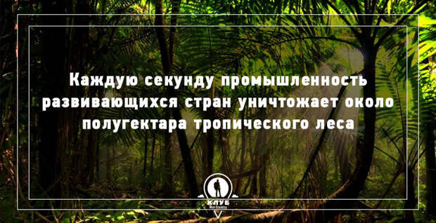 9 интересных фактов о мире в мире, факты