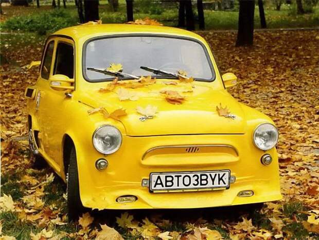 самые тюнингованные запорожцы 